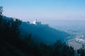 view of sicily wine