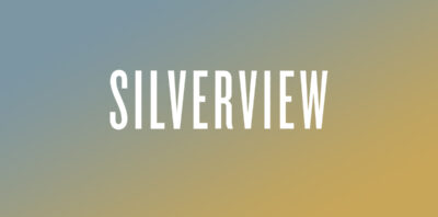 silverview john le carre book review logo