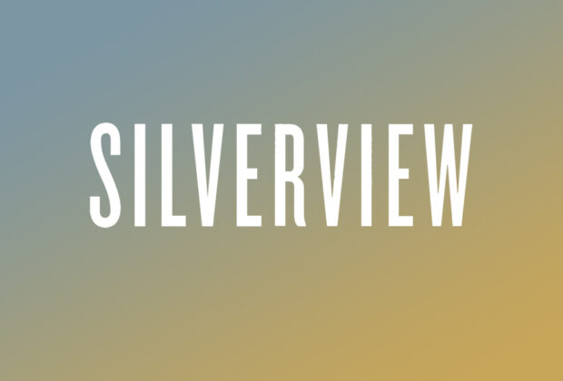 silverview john le carre book review logo