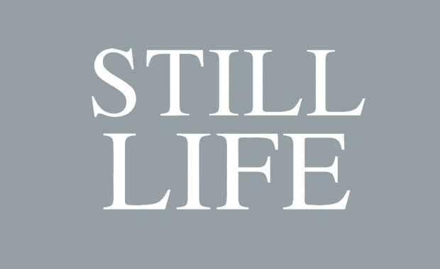 still life val mcdermid book review logo main