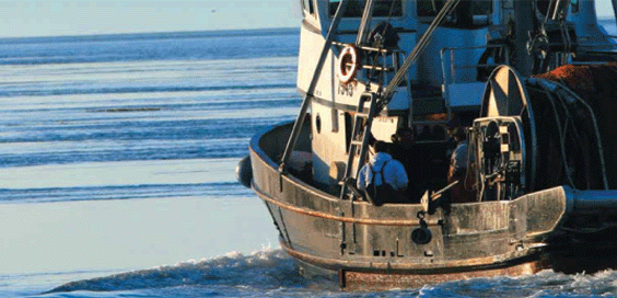 trawler boat on sea yorkshire food sustainable fishing