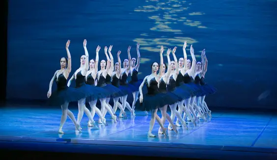 swan lake review hull new theatre january 2018 dancers