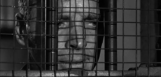 the birdman of alcatraz film review cage