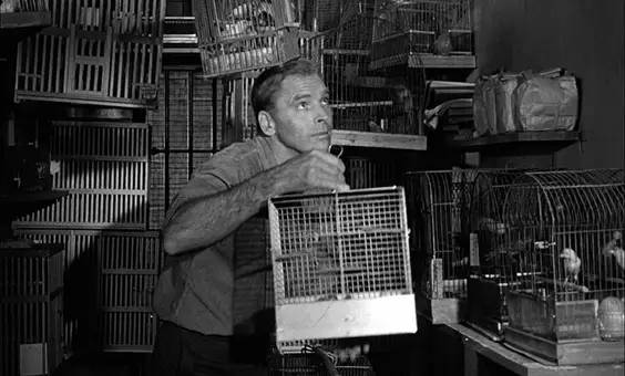 the birdman of alcatraz film review cages