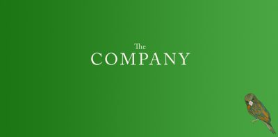 the company jm varese book review logo