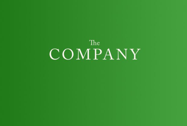 the company jm varese book review logo