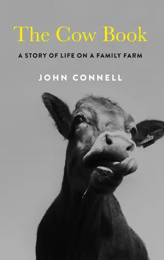 the cow book john connell review cover