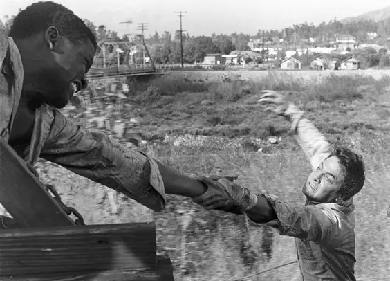 the defiant ones film review dvd poitier and curtis