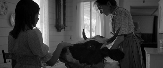 the eyes of my mother film review cow