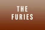 the furies john connolly book review logo