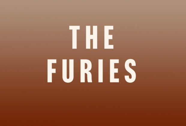 the furies john connolly book review logo