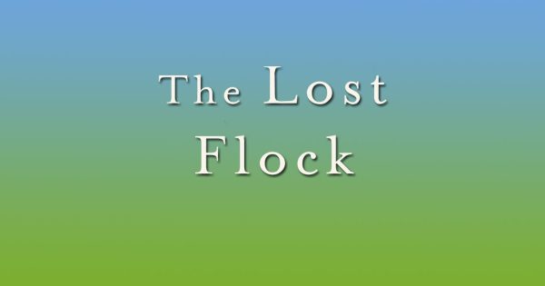 The Lost Flock by Jane Cooper – Book Review [Chelsea Green]