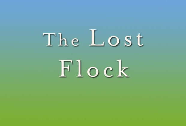 the lost flock jane cooper book review (1)