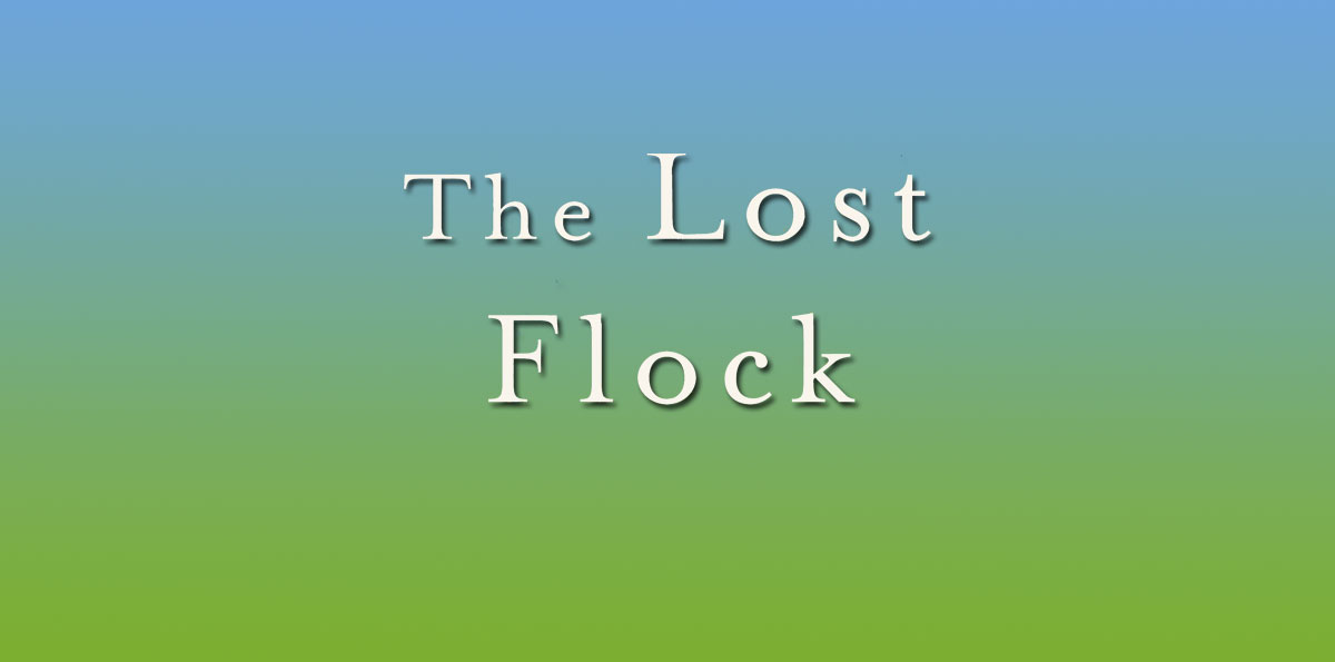 The Lost Flock by Jane Cooper – Book Review [Chelsea Green]