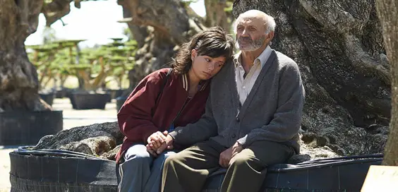 the olive tree film review