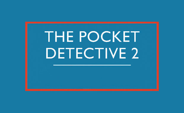 the pocket detective 2 kate jackson book review logo main
