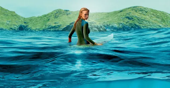 the shallows