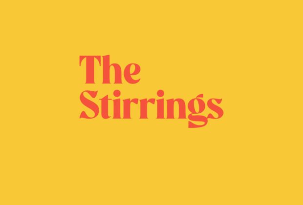 the stirrings catherine taylor book review (1)