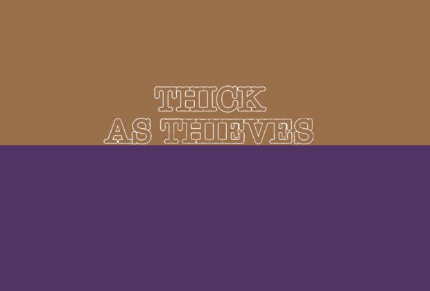 thick as thieves dvd review logo
