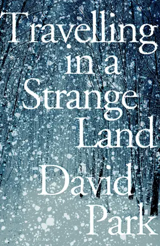 travelling in a strange land david park book review cover