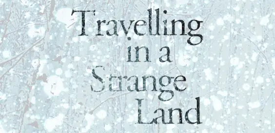 travelling in a strange land david park book review logo