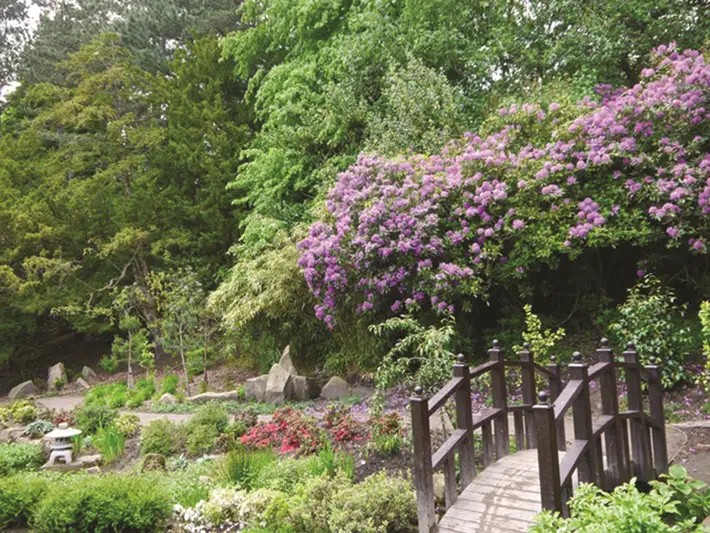 valley gardens harrogate history japanese garden