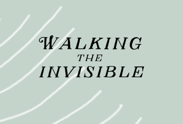 walking the invisible michael stewart book review logo