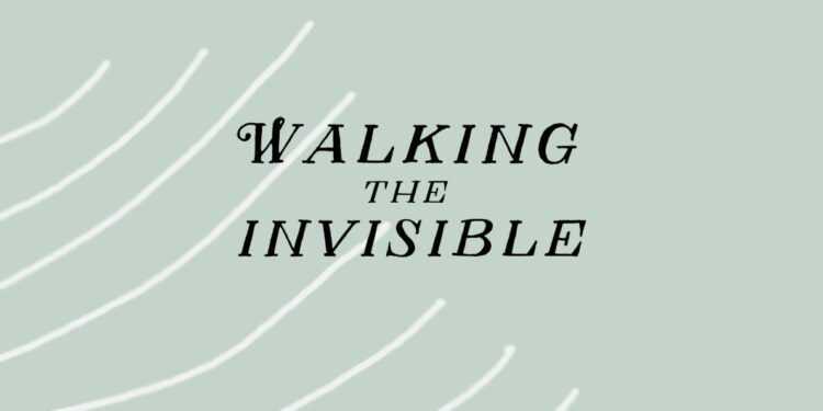 walking the invisible michael stewart book review logo