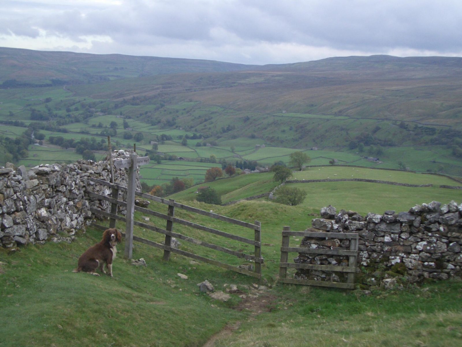 upper swaledale kisdon yorkshire walks dales