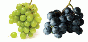 red and white grapes in a bunch