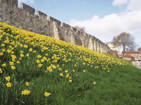 york history tour the city walls